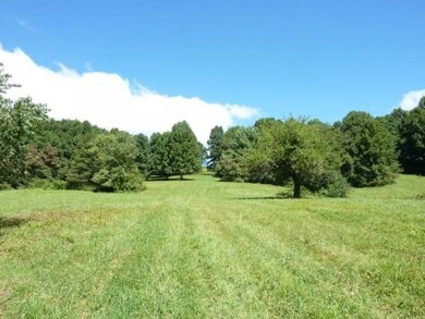 Pasture View