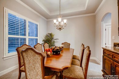 18420 Shadow Canyon Dr, Helotes, TX 78023 - photo 7