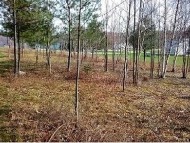 0 Redfield Rd, Barton, VT 05822 - photo 4