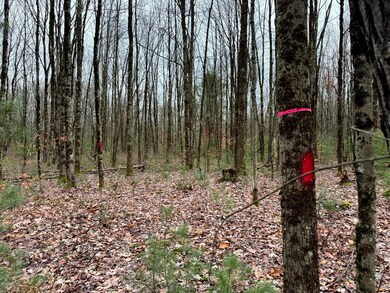 0 Preston Hill Rd, Camden, NY 13316 - photo 4