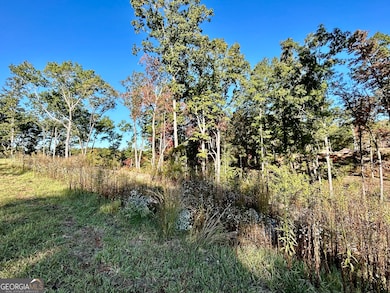 LOT 305 High River Rd, Ellijay, GA 30540 - photo 4