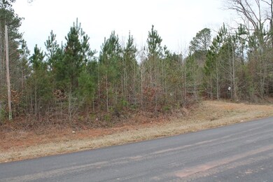 0 Crook Rd unit 440699, Lincolnton, GA 30817 - photo 5