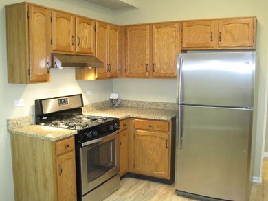 1721 Chesapeake Ln unit 1, Schaumburg, IL 60193 - photo 7