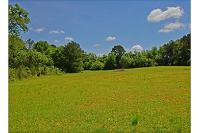 Ridgelake Cir lot 24.1