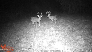 295 Posey Ln, Vaughan, MS 39179 - photo 6