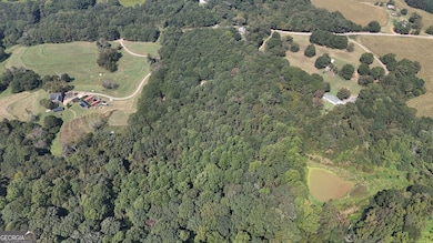 499 Aderhold Rd, Carnesville, GA 30521 - photo 6