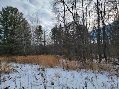 ON Cth C unit 7.87 Acres, Antigo, WI 54409 - photo 4