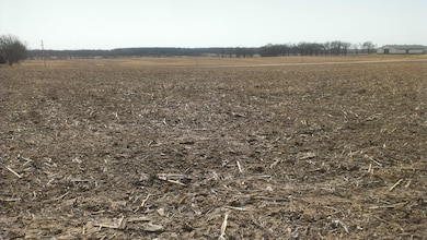 00 Nilsen Ct, Chemung Township, IL 60033 - photo 5