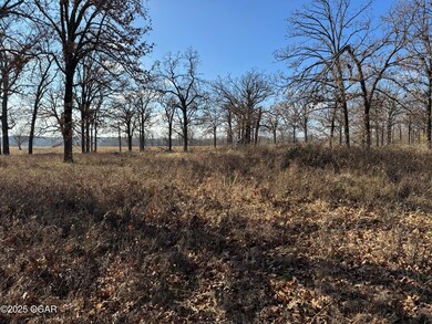 9479 S 670 Rd, Wyandotte, OK 74370 - photo 4