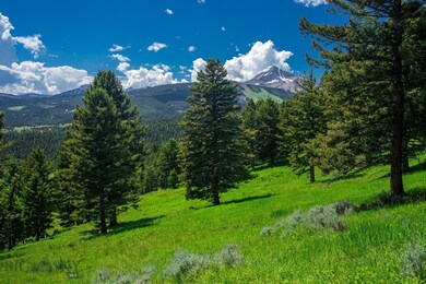 Tract 2A-1B Upper Chief Joseph Trail, Big Sky, MT 59716 - photo 5