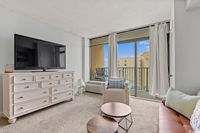 Carpeted living room with expansive windows and a 