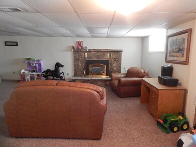 Basement Living Room