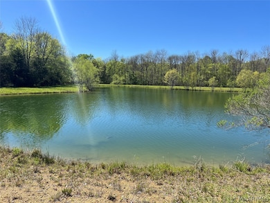Lot 1 N Leahmon Ln, Mathews, AL 36052 - photo 2