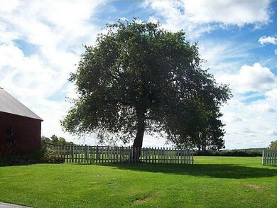 Yard/Garden.