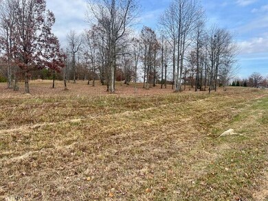 0 River Bluffs Dr unit 1524255, Jasper, TN 37347 - photo 3