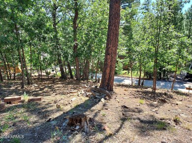 Treed RV lot
