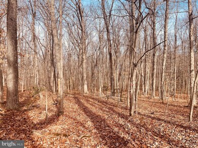 0 Kennon Rd unit VALA2004902, Mineral, VA 23117 - photo 2