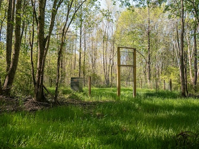 0 Mill Pine Rd, Liberty, SC 29657 - photo 5