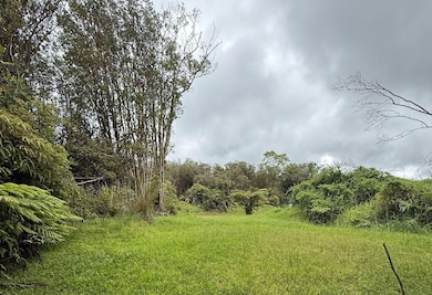 0 Hulu St, Mountain View, HI 96771 - photo 6