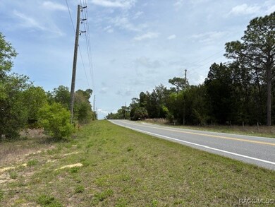 5831 W Dunnellon Rd, Dunnellon, FL 34433 - photo 6