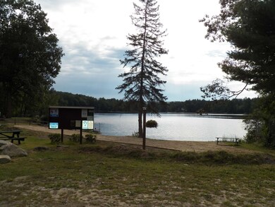 15-62 Alpine Way, Hillsborough, NH 03244 - photo 6