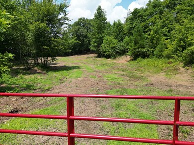 3042 Sheep Ranch Rd, Robbins, TN 37852 - photo 7