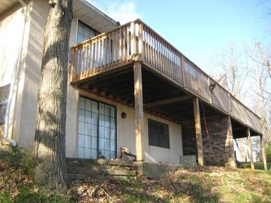 Rear View
