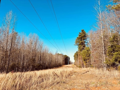 Hwy 12, Durant, MS 39063 - photo 4
