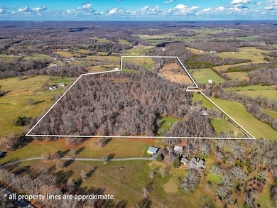 10235 E State Highway D, Rogersville, MO 65742 - photo 2