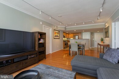 The Park at Courthouse unit 307, Arlington, VA 22201 - photo 7