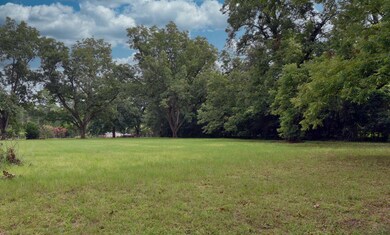 1005 Fairview Rd, Albany, GA 31705 - photo 6