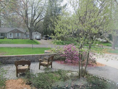 Front window view, service berry and aza