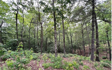 Additional View