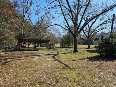232 Old Bainbridge Rd, Baconton, GA 31716 - photo 2