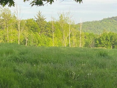 469 South Rd unit Map 5 Lot 42-1, Sullivan, NH 03445 - photo 2