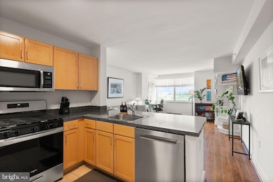 Potomac Place Tower unit S712, Washington, DC 20024 - photo 4