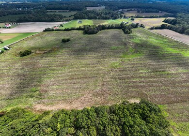 1 Clarence Finney Rd, Hillsboro, TN 37342 - photo 6