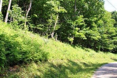 331 Hamlin Ln unit 331, Mars Hill, NC 28754 - photo 4