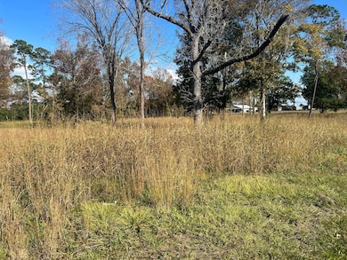 0 S Houston Ave, Livingston, TX 77351 - photo 2