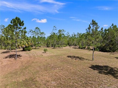 Lot 39