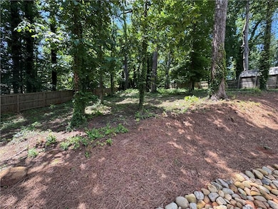 View of Backyard