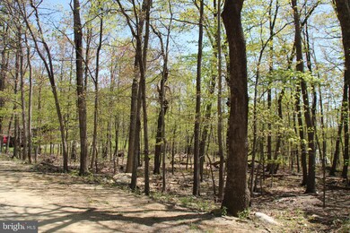 215 Fox Dr, Winchester, VA - photo 2