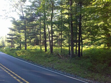 1253 Pennsylvania 590, Lackawaxen, PA 18435 - photo 6