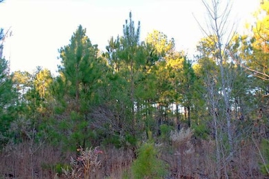 TBD O G Reynolds Rd, Ellerbe, NC 28338 - photo 6