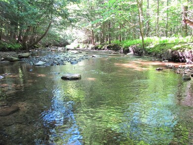 39 Stugger Rd, Dover, VT 05356 - photo 4