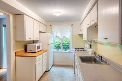 6 Webster Ct, Amherst, MA 01002 - photo 3