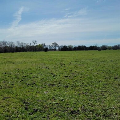 Lot 11B County Road 728, Princeton, TX 75407 - photo 6