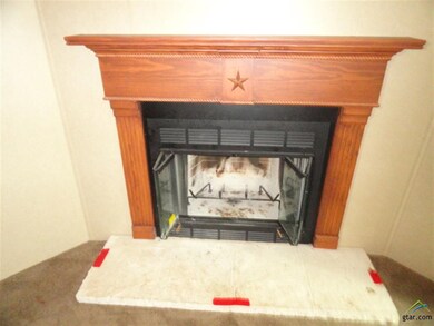 10892 County Road 210, Tyler, TX 75707 - photo 3