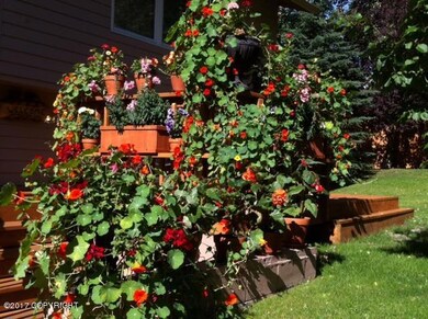 Summer flowers