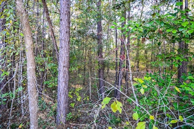 000 Deer Run Rd, Nacogdoches, TX 75964 - photo 3